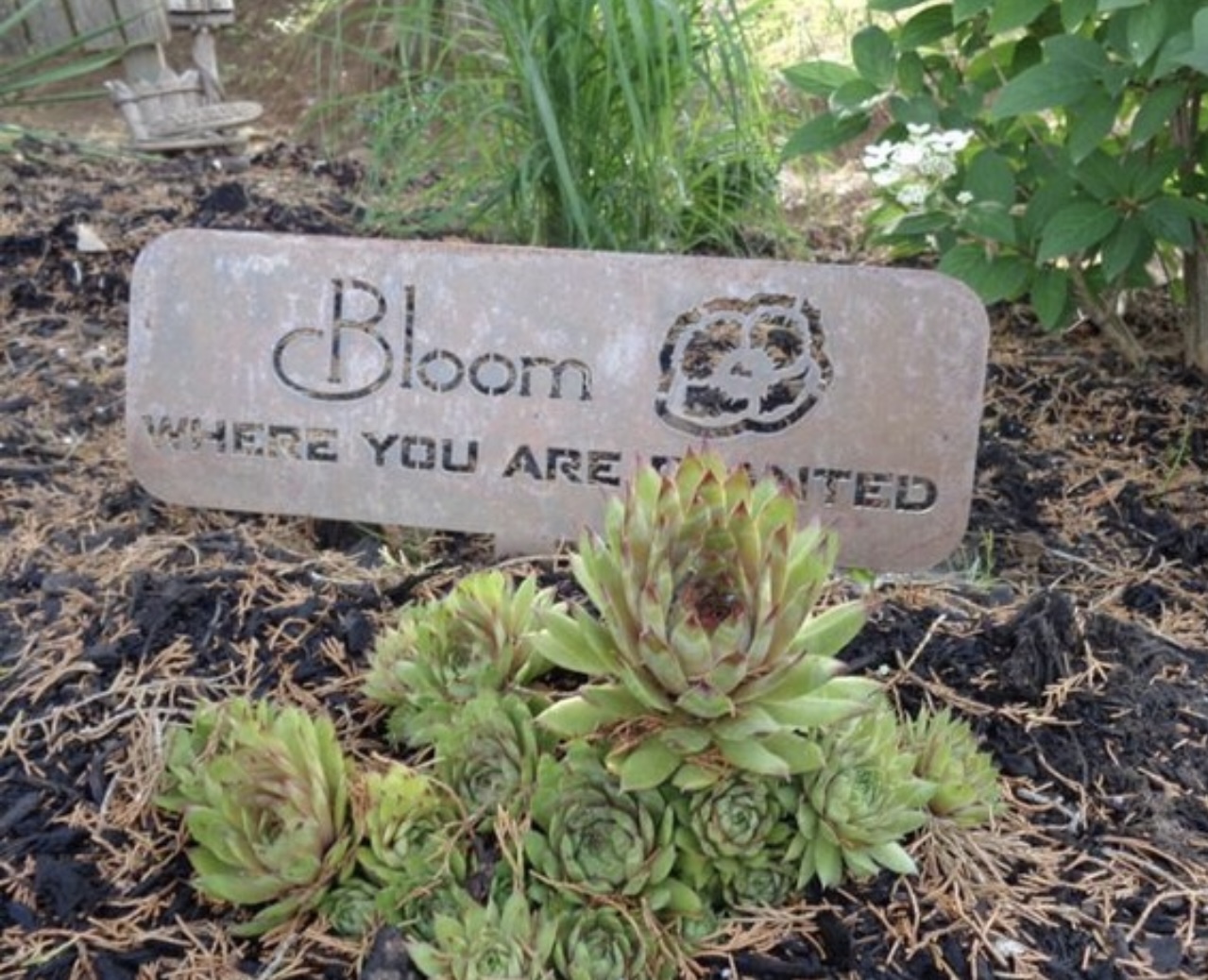 Bloom where you are planted metal garden sign