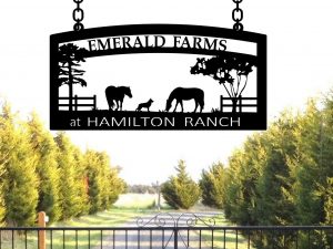 Large Personalized Metal Sign HORSES DOG Fence CAT