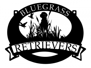 Metal  Sign with  hunting dog and ducks in grass customized with your name