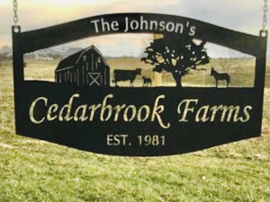 Metal Sign Barn ,DONKEY, COW CALF, Tractor, large sign customized with your name and animals!