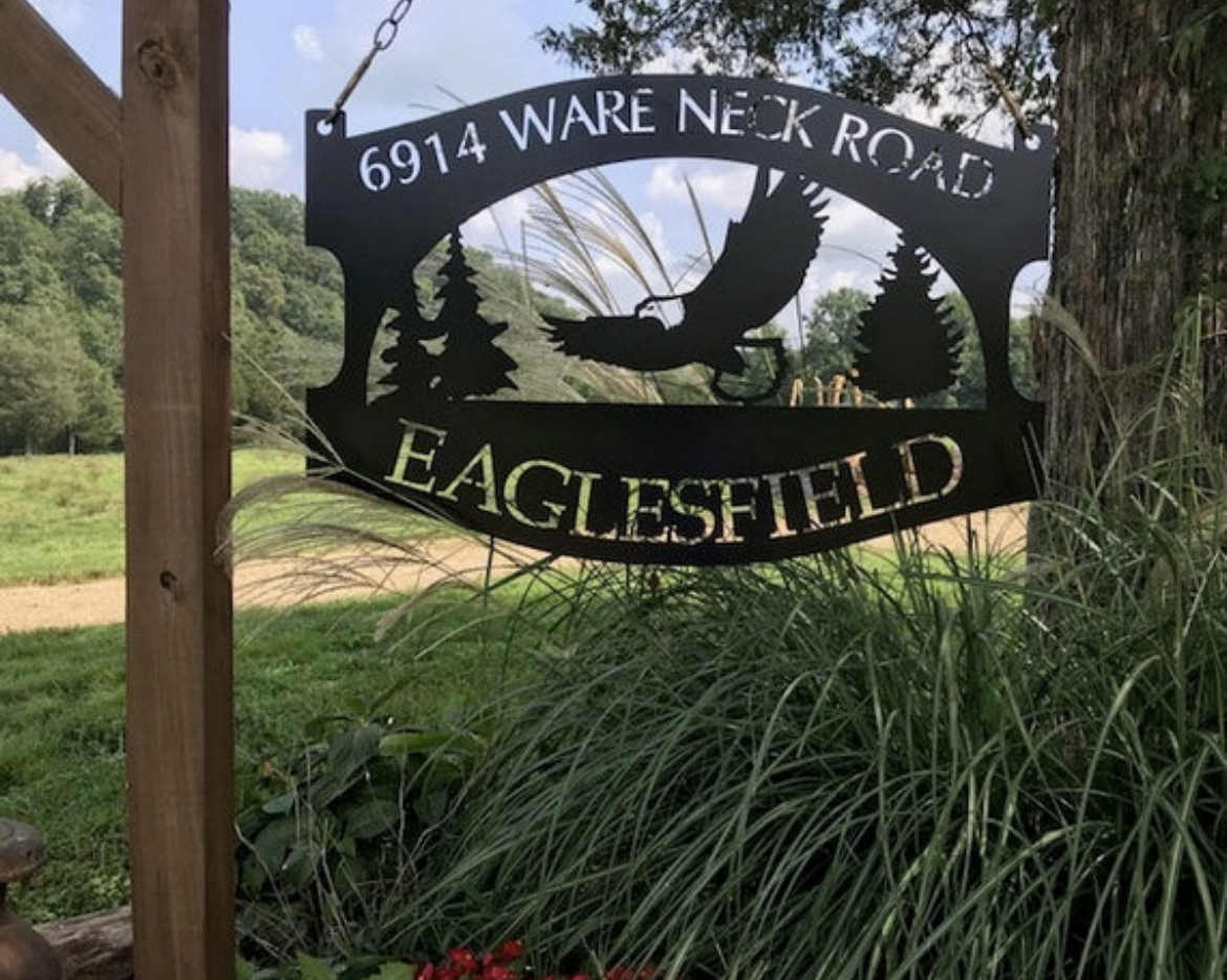 Metal sign EAGLE, EVERGREENS , Eagle evergreen sign - Image 4