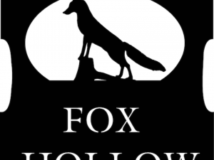 metal FOX sign with FOX