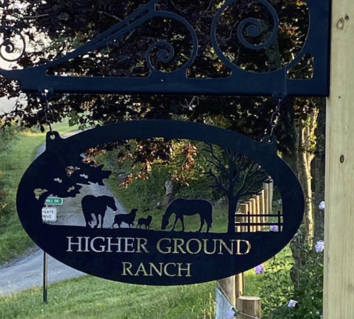 Large Personalized Metal Sign HORSES DOG Fence CAT - Image 5