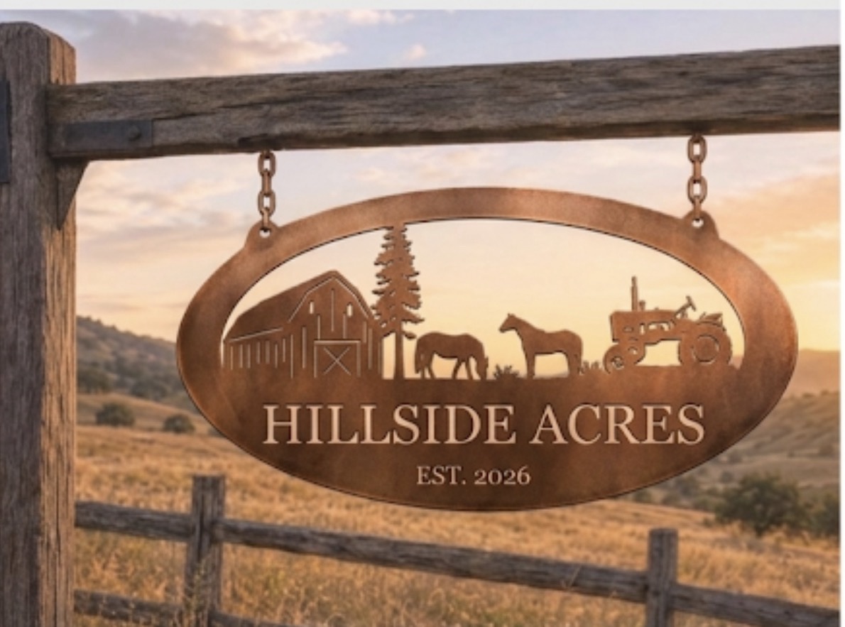 Metal HORSE Sign Horses name plaque Address barn sign - Image 3