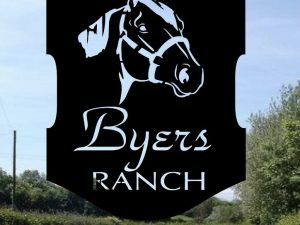 Metal horse sign with quarter horse head