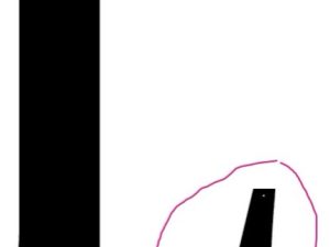 2 pieces as shown in red circle in black
