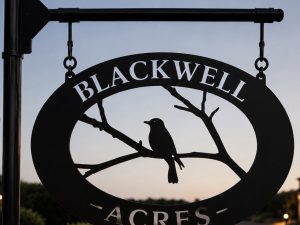Metal sign with woodpecker or mockingbird or hawk