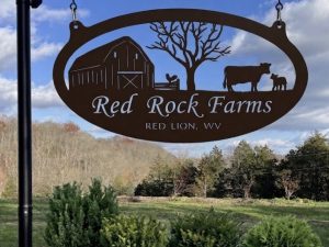Cow calf barn sign metal , Personalized Metal Sign Cow Calf barn sign