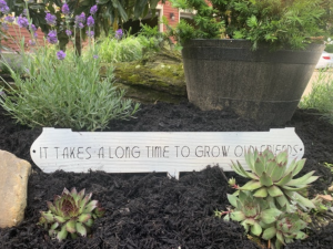 It Takes a Long Time to Grow Old Friends, metal Landscape, sign