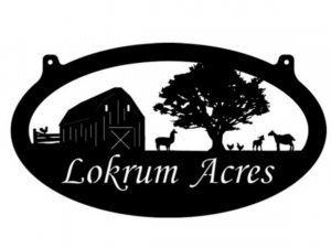 Metal FARM SIGN , llama goats metal sign,llama sheep sign, 3ft metal sign