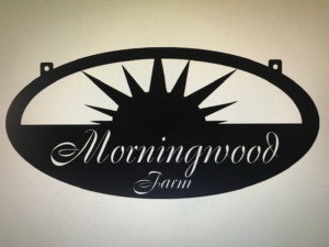 Metal SUN Sign, SUN sign CUSTOM sign
