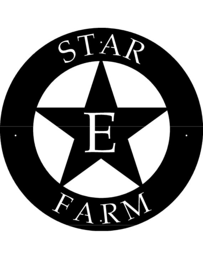 Metal star sign with Texas STAR and custom name - Image 2