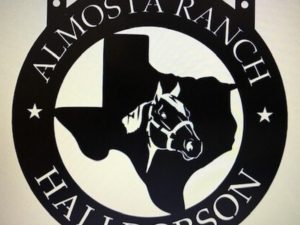 Metal Texas horse sign, Texas sign personalized, round Texas sign