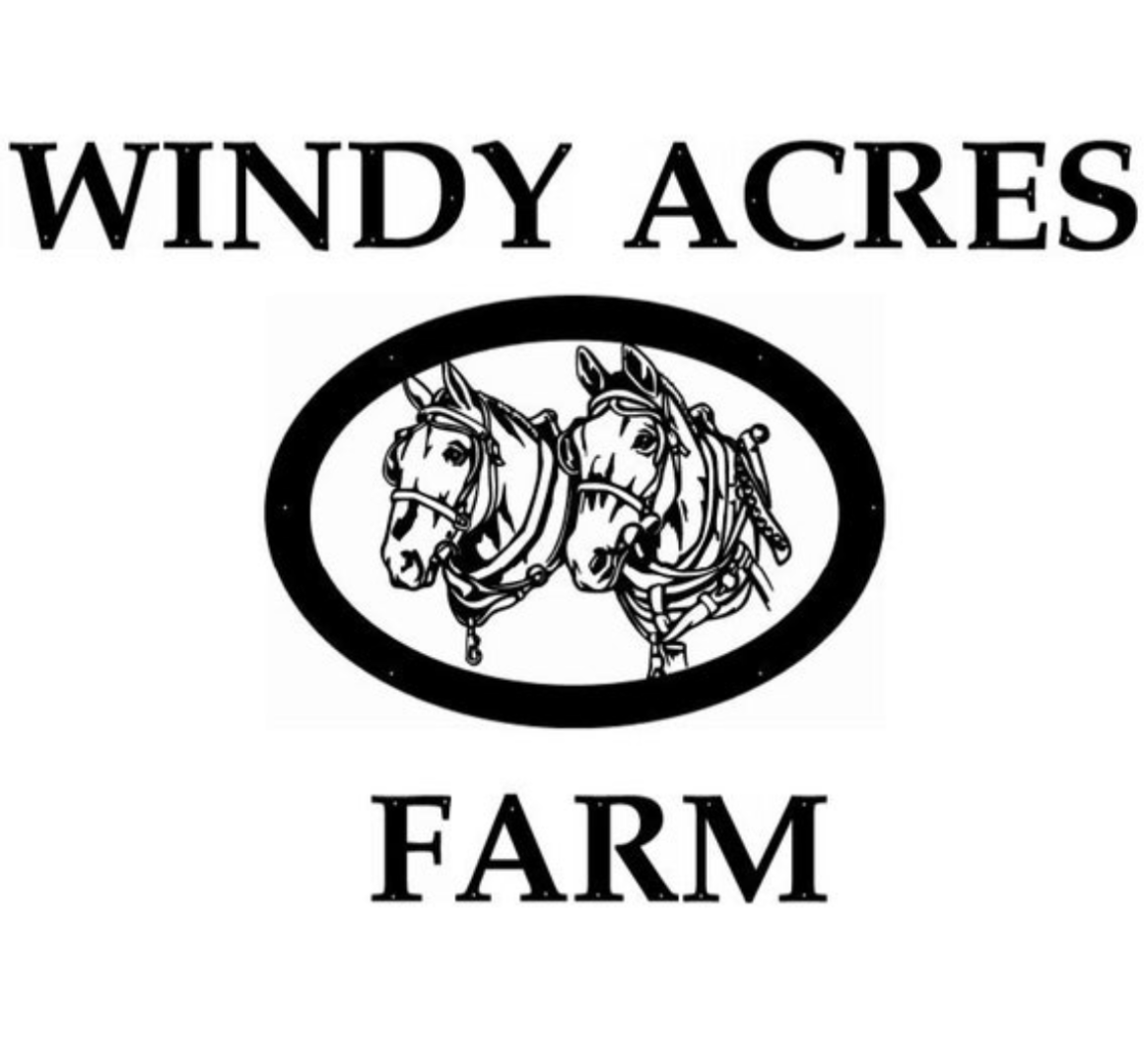 HUGE Draft Horse SIGN, or Cow Calf Bull Metal Sign with Metal letter farm name - Image 2